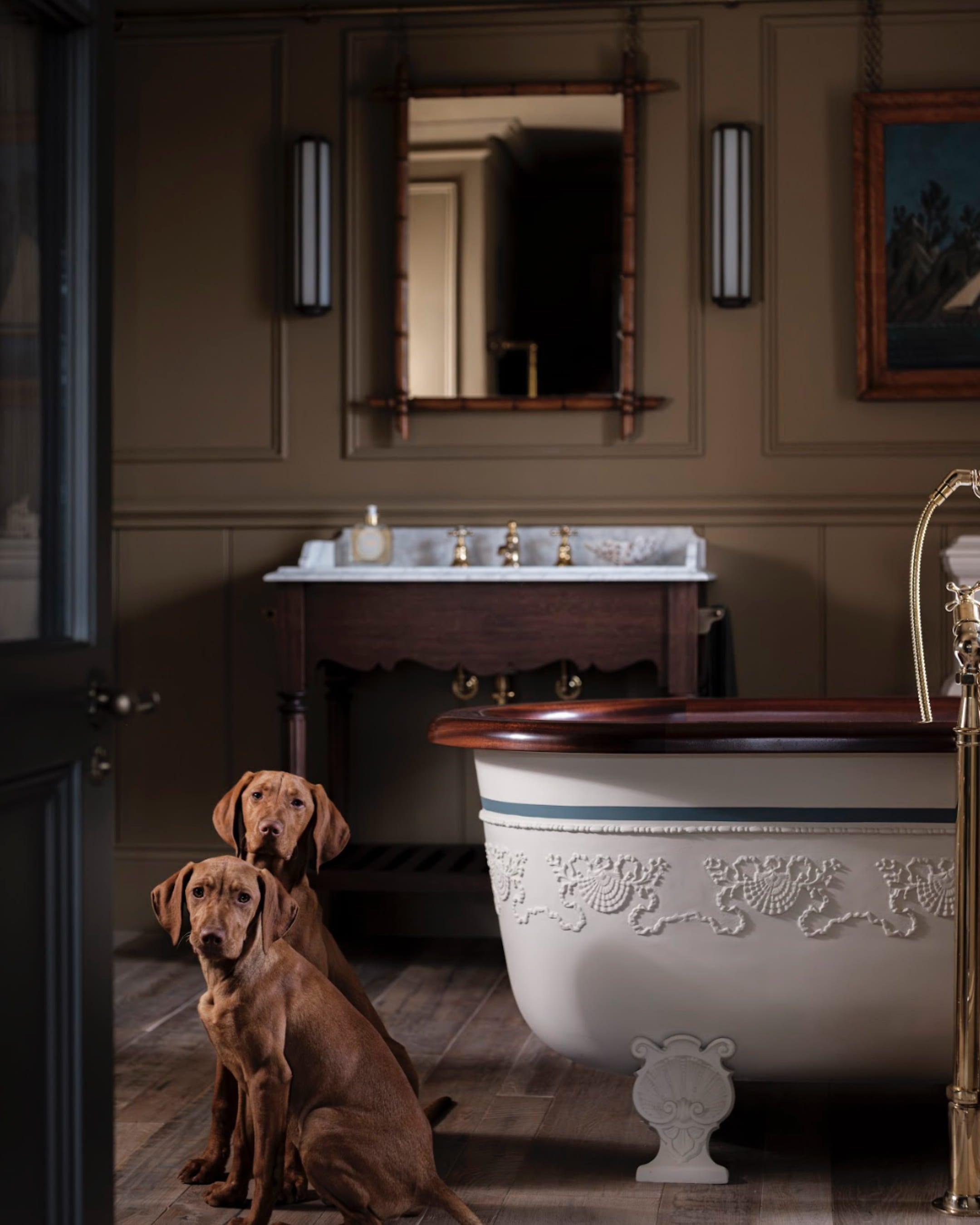 Dark bathroom with Dogs in it