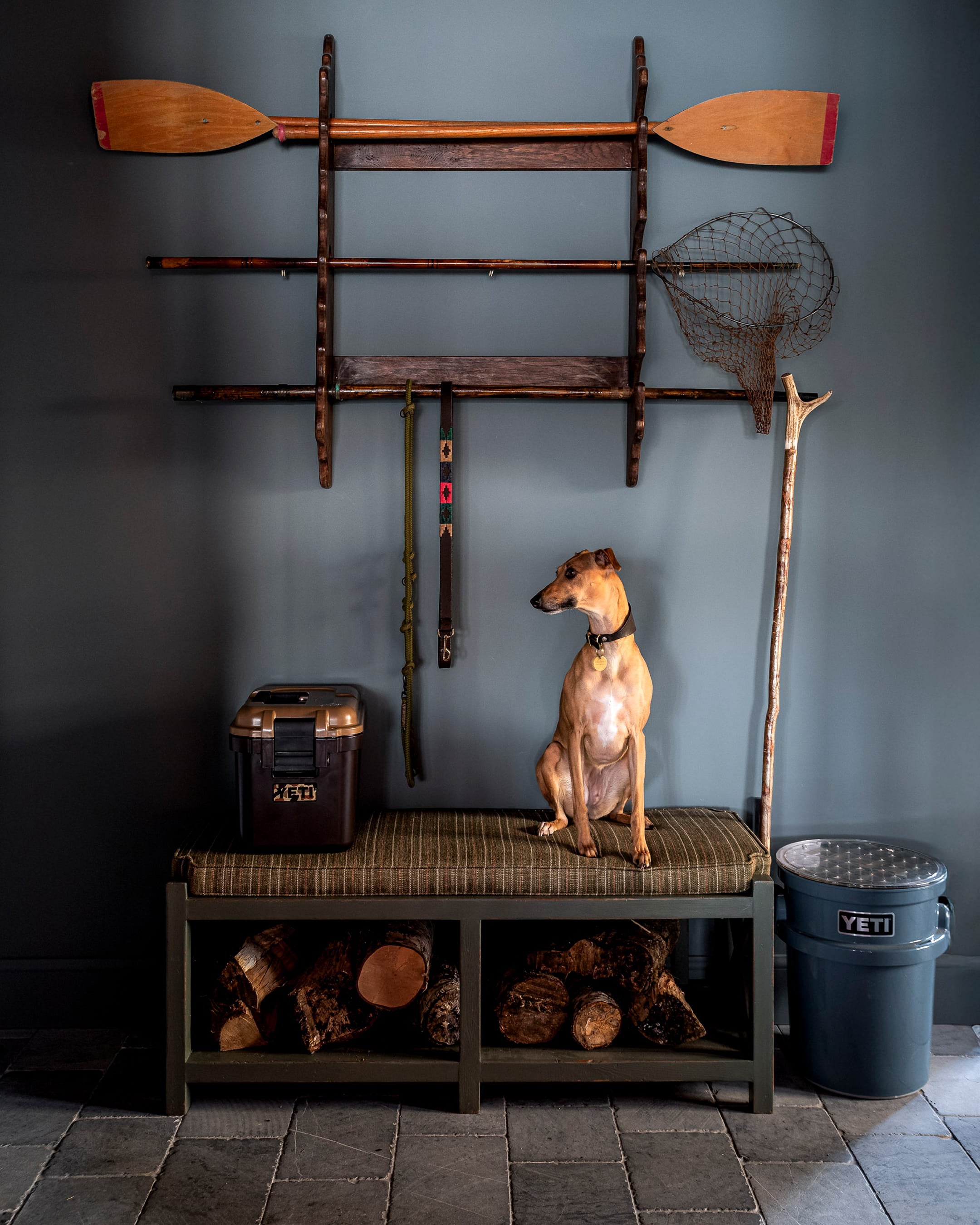 Rustic entryway featuring a slate floor, dark blue wall, wooden shelving with paddles, and a greyhound on a striped bench